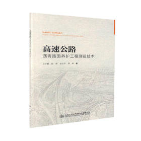 正版现货 高速公路沥青路面养护专项工程测设技术 道路工程 公路沥青路面养护 王子鹏等编著 人民交通出版社股份有限公司