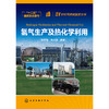 21世纪可持续能源丛书--氢气生产及热化学利用 商品缩略图0