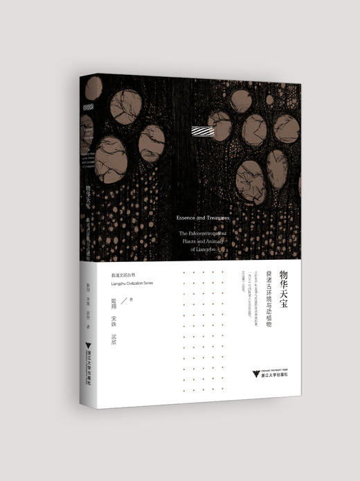 良渚文明丛书  套装共11册 商品图10