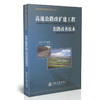 高速公路改扩建工程旧路改善技术/高速公路改扩建成套技术丛书 商品缩略图0