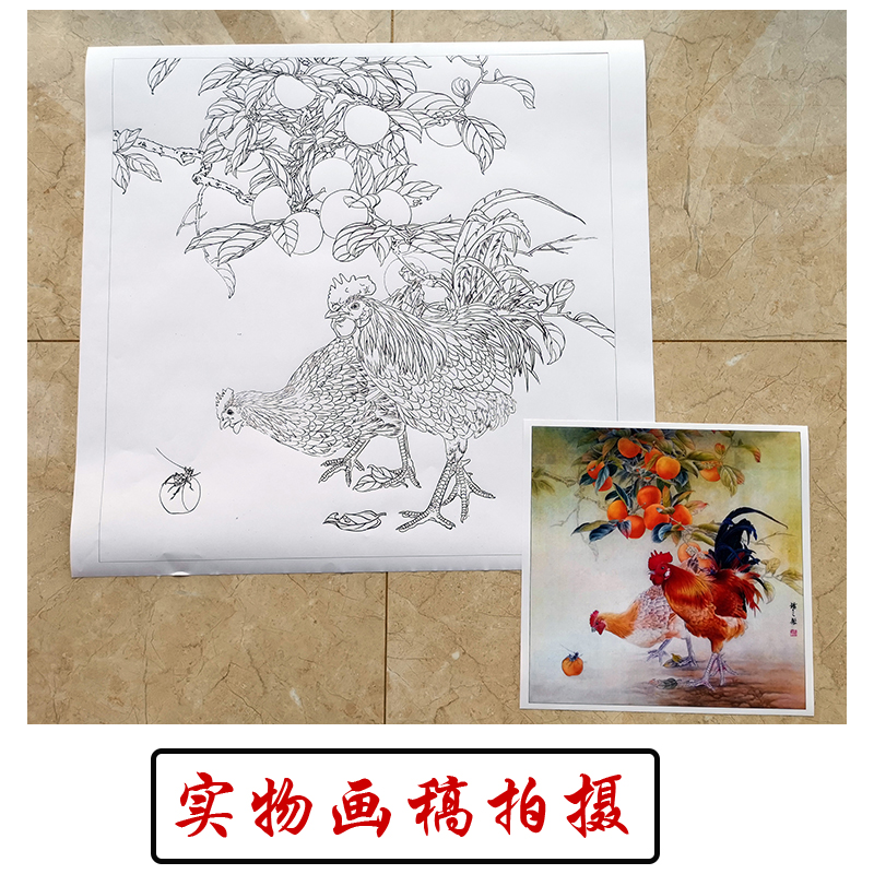 dt1工笔画公鸡白描底稿 国画花鸟小品线描稿临摹练习