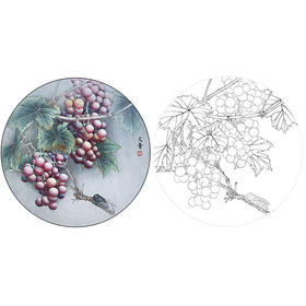 於文普工笔花鸟葡萄小品白描底稿-WP06