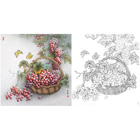 於文普工笔花鸟葡萄白描底稿-斗方小品册页-WP12
