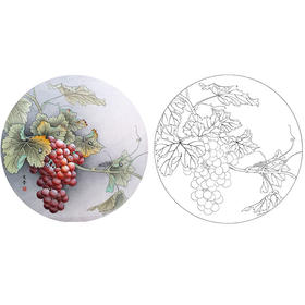 於文普工笔花鸟葡萄小品白描底稿-WP02
