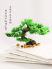 造景大师系列—唯美【迎客松】 随手一放即可绽放唯美！ 商品缩略图4