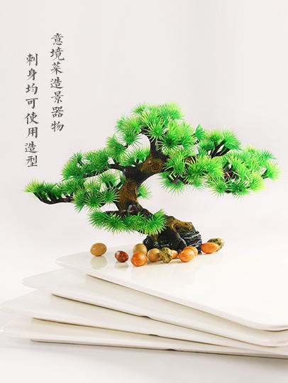 造景大师系列—唯美【迎客松】 随手一放即可绽放唯美！ 商品图4