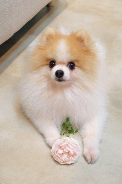 测试代付 商品图0