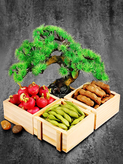 造景大师系列—唯美【迎客松】 随手一放即可绽放唯美！ 商品图1