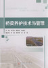 桥梁养护技术与管理 商品缩略图1