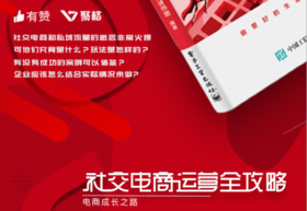 《社交电商运营全攻略》