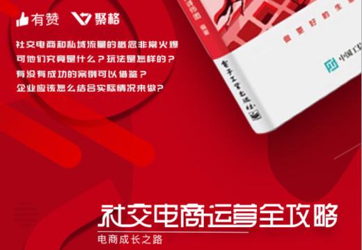 《社交电商运营全攻略》 商品图0