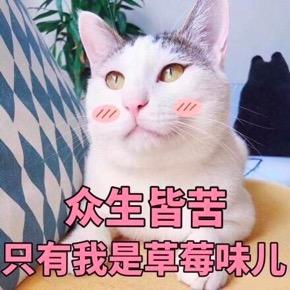 草莓味的我 商品图0