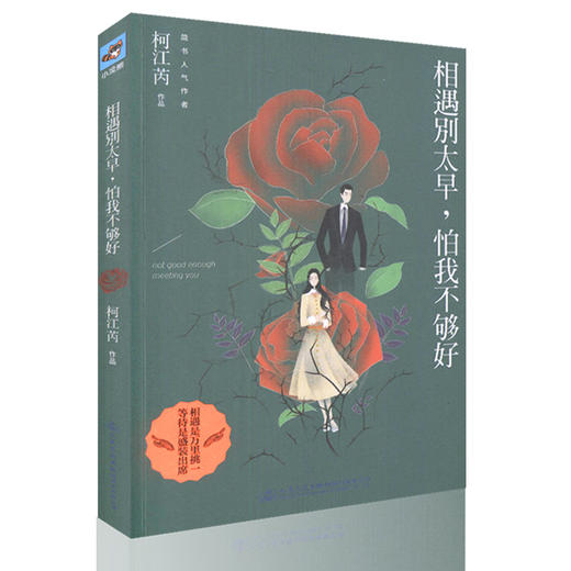 【正版现货】相遇别太早，怕我不够好 青年男女的爱情故事 柯江芮 著 商品图0