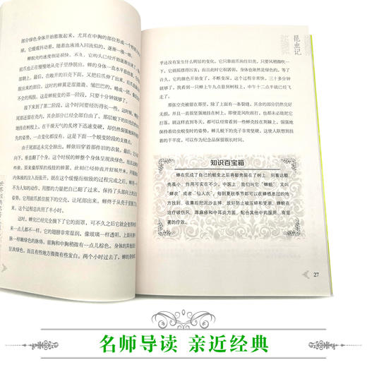 优等生必读文库·世界经典名著主题悦读系列 昆虫记 商品图4