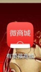 薏米