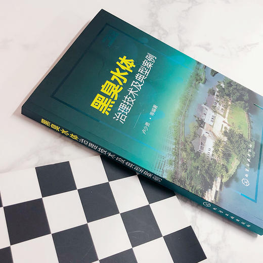 黑臭水体治理技术及典型案例 商品图1