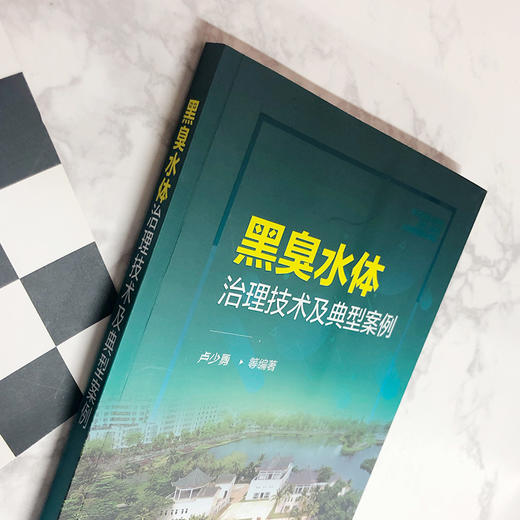 黑臭水体治理技术及典型案例 商品图2