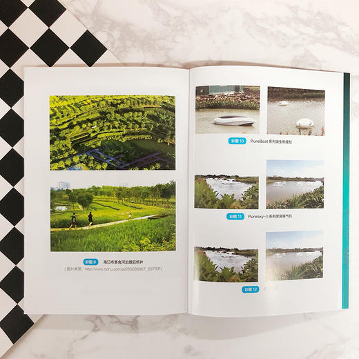 黑臭水体治理技术及典型案例 商品图4