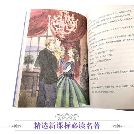 优等生必读文库·世界经典名著主题悦读系列 老人与海 商品图3