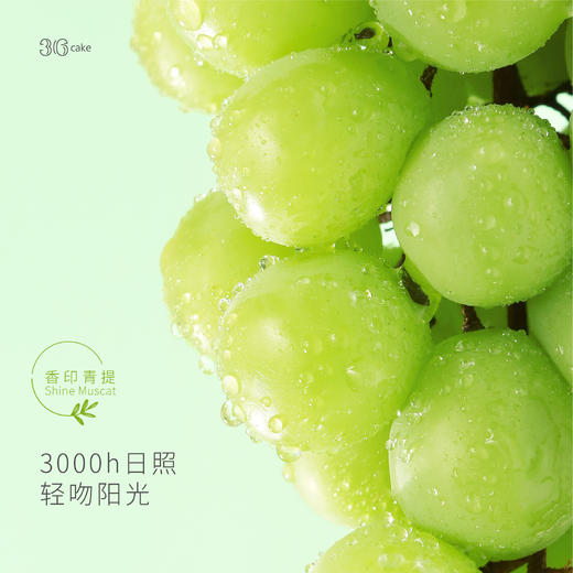 【鲜果系列】香印女王鲜果蛋糕 商品图3