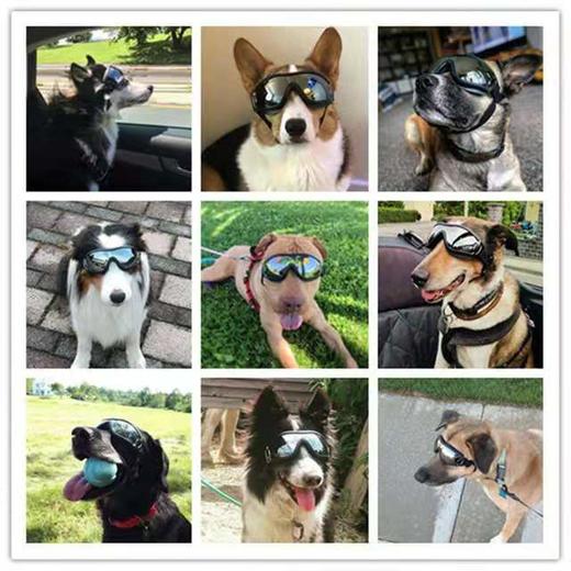 「大型犬防水防风防晒防紫外线护目镜」宠物眼镜 狗狗用品 大狗眼镜 商品图2