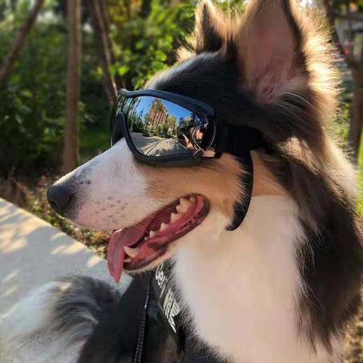 「大型犬防水防风防晒防紫外线护目镜」宠物眼镜 狗狗用品 大狗眼镜 商品图1