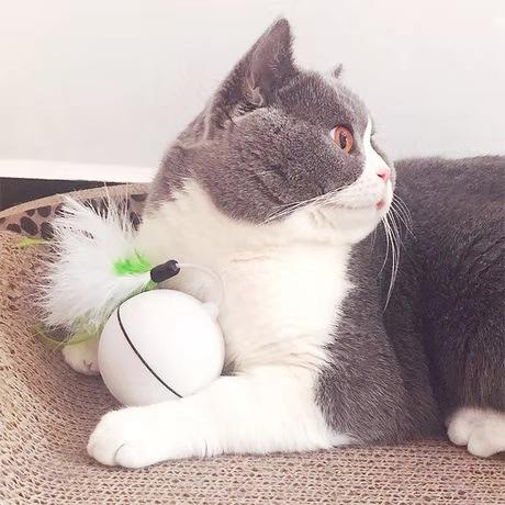 「宠物猫LED自动滚动发光电动玩具球」逗猫球 可替换羽毛usb充电 商品图1