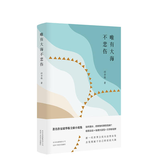 唯有大海不悲伤 商品图0