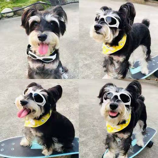 「可折叠宠物眼镜」创意狗狗猫咪眼镜 滑雪镜 宠物配饰太阳镜 商品图1