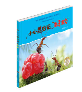 小小昆虫记——蚂蚁