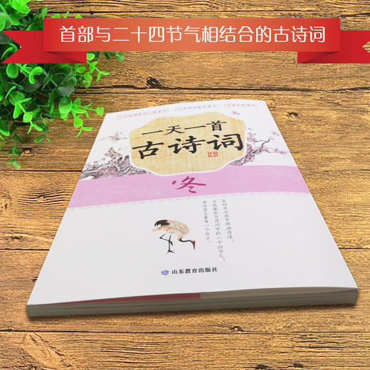 一天一首古诗词 冬 藏在二十四节气里的古诗词 小学生古诗词原文原诗注释解读鉴赏 商品图1