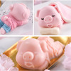口水猪模具-可制作慕斯、巧克力创意，或者做各种冻类如牛肉冻、猪蹄冻、鱼冻蔬菜冻等，蒸鱼泥、鸡蓉也可以，效果非常出彩！ 商品缩略图1