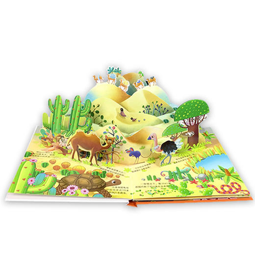 幼儿科普立体翻翻书（一辑，共4册） 商品图5