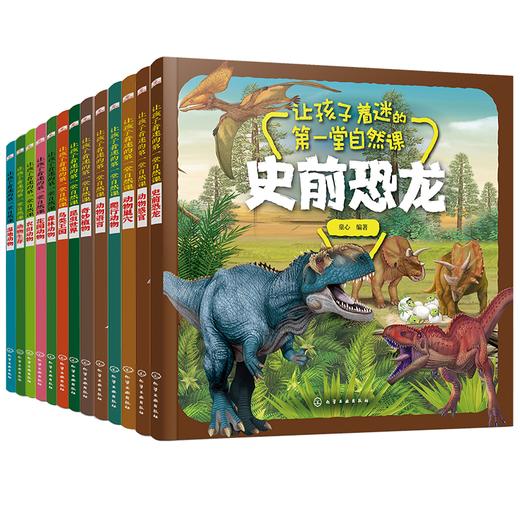 让孩子着迷的生命大自然（套装13册） 商品图0