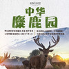 【妈网亲子】 7/20-21 7/25-26 7/27-28  盐城大丰两日游//中华麋鹿园，探索神秘“四不像” 来个亲密接触 体验枪林弹雨、游玩江苏最大卡丁车赛车场 商品缩略图0