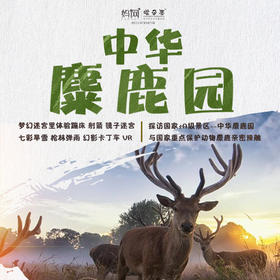 【妈网亲子】 7/20-21 7/25-26 7/27-28  盐城大丰两日游//中华麋鹿园，探索神秘“四不像” 来个亲密接触 体验枪林弹雨、游玩江苏最大卡丁车赛车场