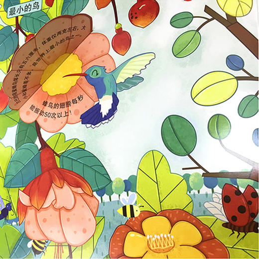 幼儿科普立体翻翻书（一辑，共4册） 商品图4