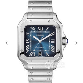 BV新款山度士WSSA0013(大号)，男士腕表，精钢表带，自动机械机芯，密底。