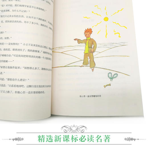 优等生必读文库·世界经典名著主题悦读系列 小王子 商品图3