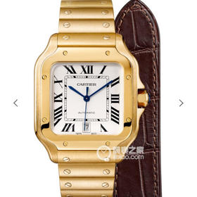 BV新款山度士WGSA0009(大号)，男士腕表，精钢表带，自动机械机芯，密底。