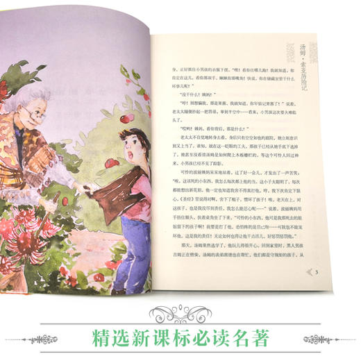 优等生必读文库·世界经典名著主题悦读系列 汤姆·索亚历险记 商品图3