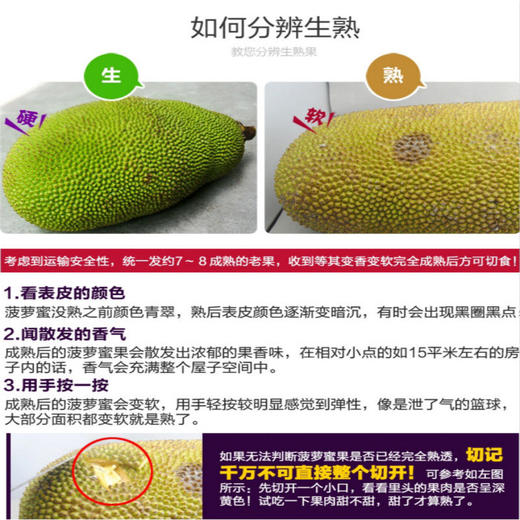 海南现摘 新鲜树菠萝蜜1个整装 当季水果 果肉饱满 热带水果 商品图3