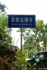 19年千年布朗寨章朗，头春古树纯料，最具性价比的古树茶发源地 商品缩略图11