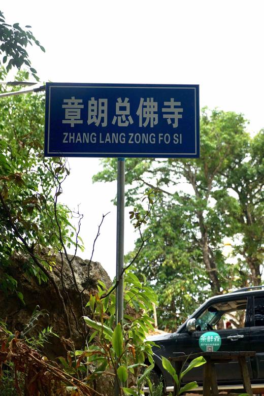 19年千年布朗寨章朗，头春古树纯料，最具性价比的古树茶发源地 商品图11