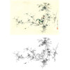 胡也佛横幅工笔传统仕女人物白描底稿《翠竹娇影》-多种白描尺寸可选-HY19 商品缩略图0