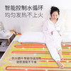 利仁（liven）电热毯水暖毯电褥子静音水循环不上火 恒温水暖床垫 法兰绒双人款SNT-D18A 商品缩略图1