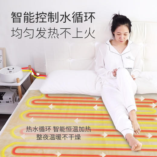 利仁（liven）电热毯水暖毯电褥子静音水循环不上火 恒温水暖床垫 法兰绒双人款SNT-D18A 商品图1