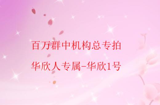 百万群中机构总专拍-华欣1号（2瓶） 商品图0