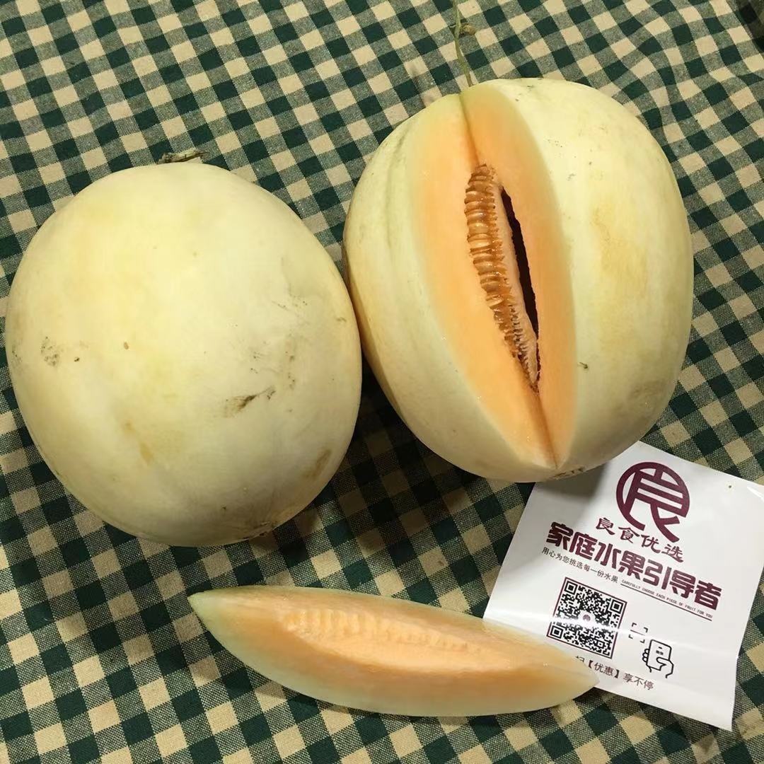 【台州特产】东方蜜甜瓜