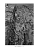 秦始皇帝陵一号兵马俑陪葬坑发掘报告（2009～2011年） 商品缩略图1